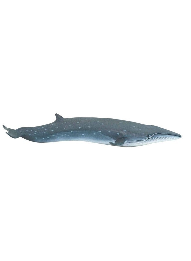 Sei Whale Figurine Detailed 7.75