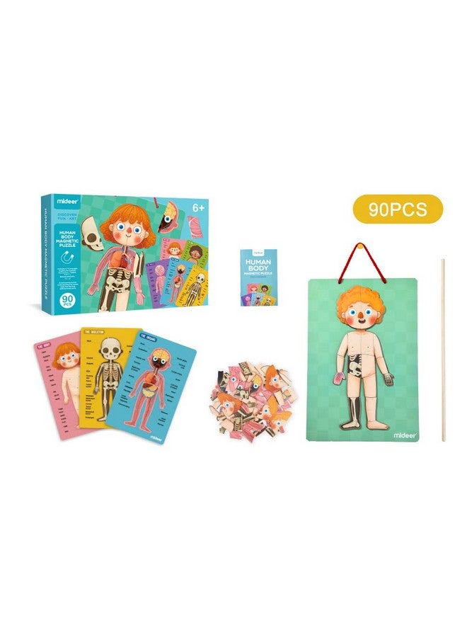 Human Body Model Puzzle For Kids 90 Magnetic Puzzles Human Anatomy Play Set To Learn Body Parts Organs Muscles And Bones Funny Gifts For Ages 6+