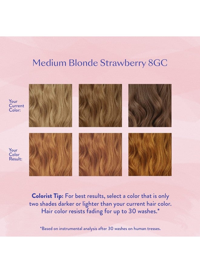 Permanent Hair Color & Hair Dye Complete Kit Medium Blonde Strawberry Personal Colorist Kit For Up To 100% Gray Coverage For All Hair Types Professionalgrade Ammoniafree Hair Dye