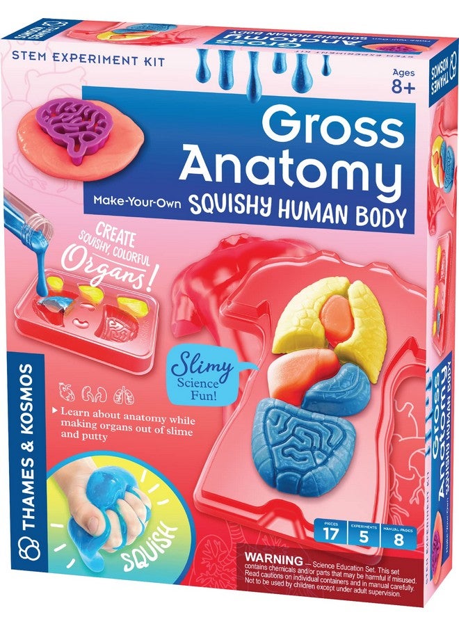 Gross Anatomy Makeyourown Squishy Human Body Stem Experiment Kit Make Colorful Models Of Human Organs With Slime & Putty Fun Tactile Intro To Human Anatomy 5 Cool Activities