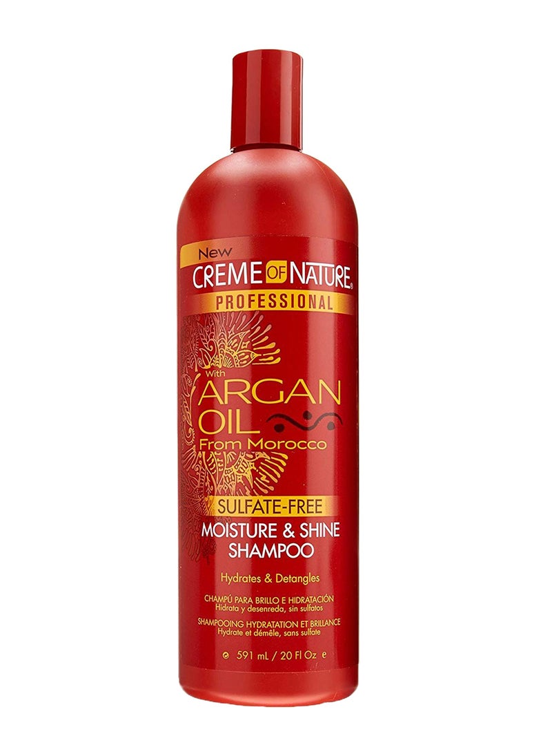 Professional Argan Oil Moisture And Shine Shampoo