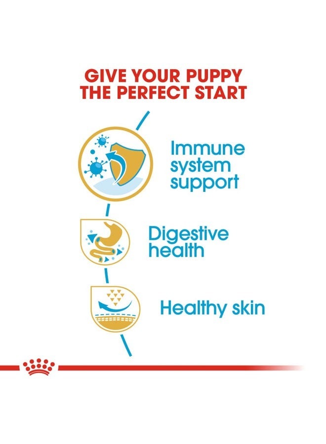 Breed Health Nutrition French Bulldog Puppy 3 KG