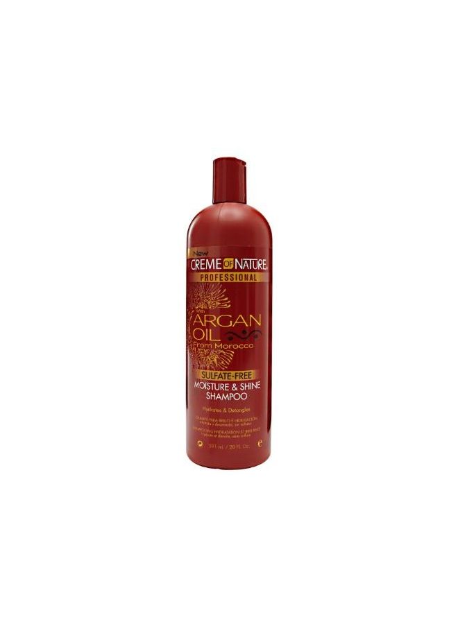 Professional Argan Oil Moisture and Shine Shampoo 567grams