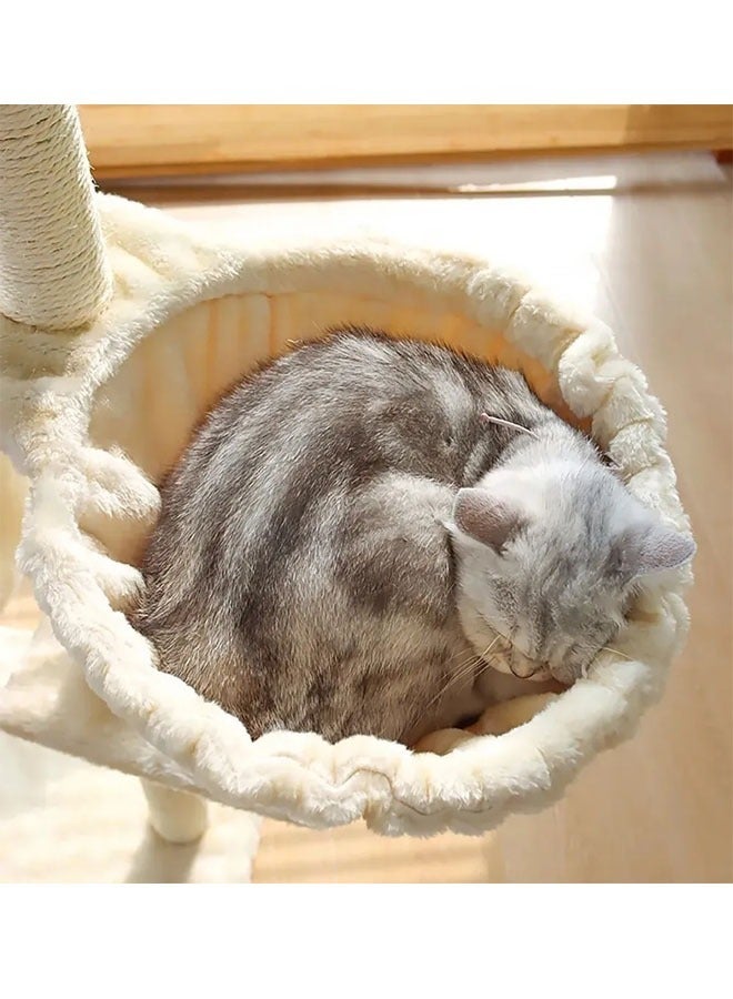 Multi-Level Kitten Play Tree with Scratching Post and Ladder