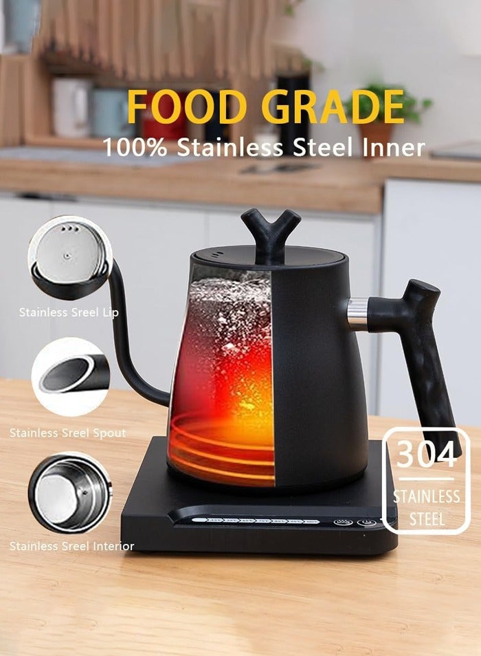 Electric Gooseneck Kettle,304 Stainless Steel Electric Water Kettle & Coffee Kettle with Temperature Indicate, Constant Temperature, Auto Shut Off, Touch Screen Panel, 1000W Quick Heating,1L