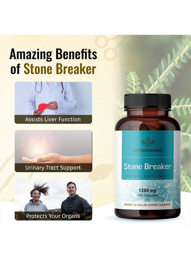 Stone Breaker Chanca Piedra Pills - Organic Chanca Piedra Stone Breaker Kidney Stones Dissolver - Kidney & Gallbladder Cleanse - 1200mg, 100 Capsules