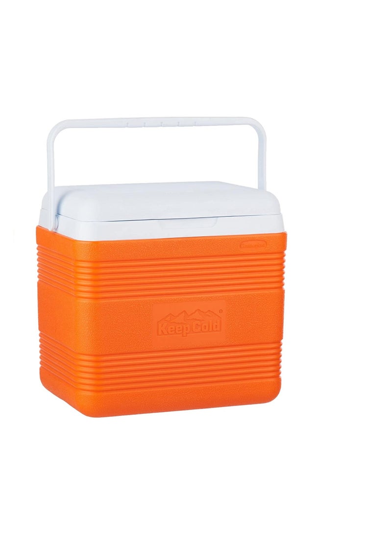 Keep Cold Ice Box Deluxe 46Ltrs Assorted Colors