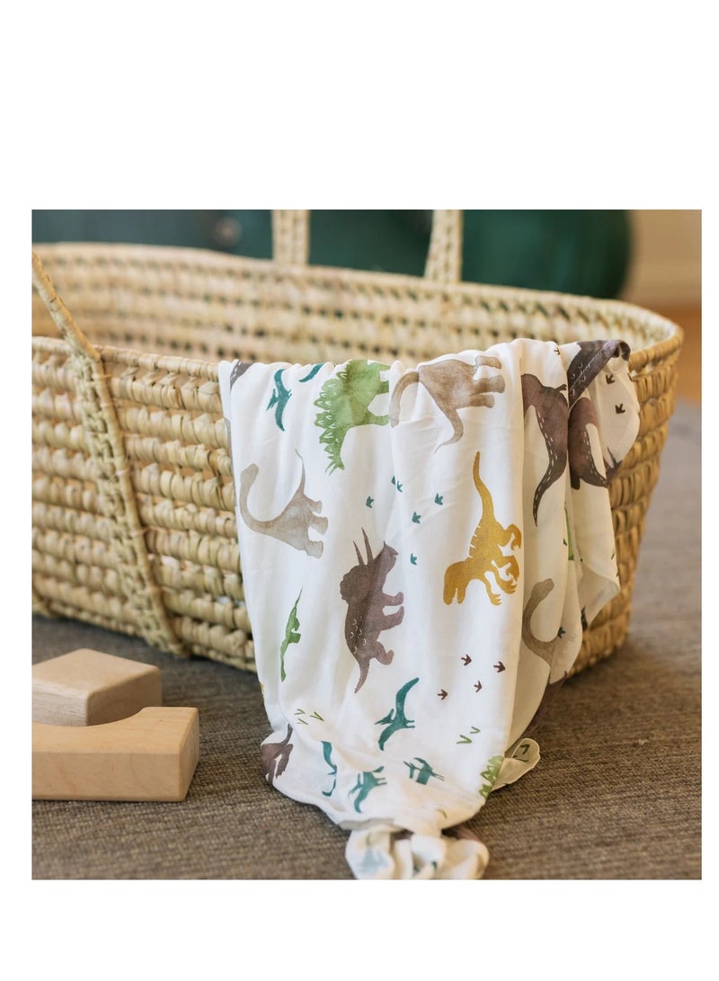 Stretch Knit Swaddle 2 Pack Dino Pals