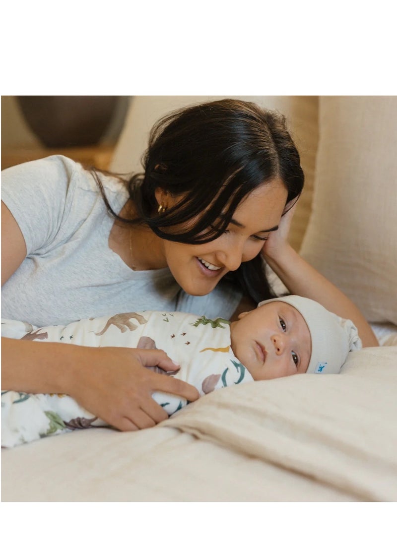 Stretch Knit Swaddle 2 Pack Dino Pals