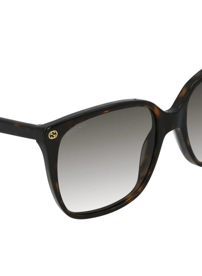 Gucci Square Dark Havana Sunglasses GG0022S-003