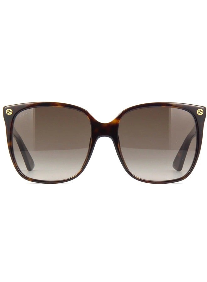 Gucci Square Dark Havana Sunglasses GG0022S-003