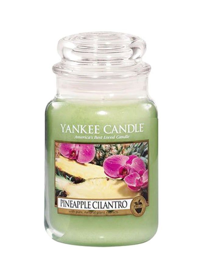 Yankee Candle Pineapple Cilantro Jar Candle, Large Jar