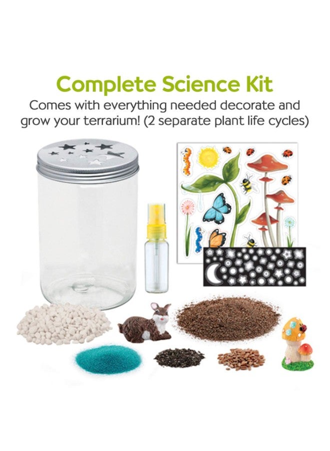 Grow N Glow Terrarium Science Toy Kit