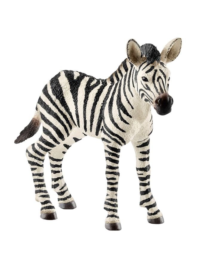 Zebra Foal Toy Figurine 14811
