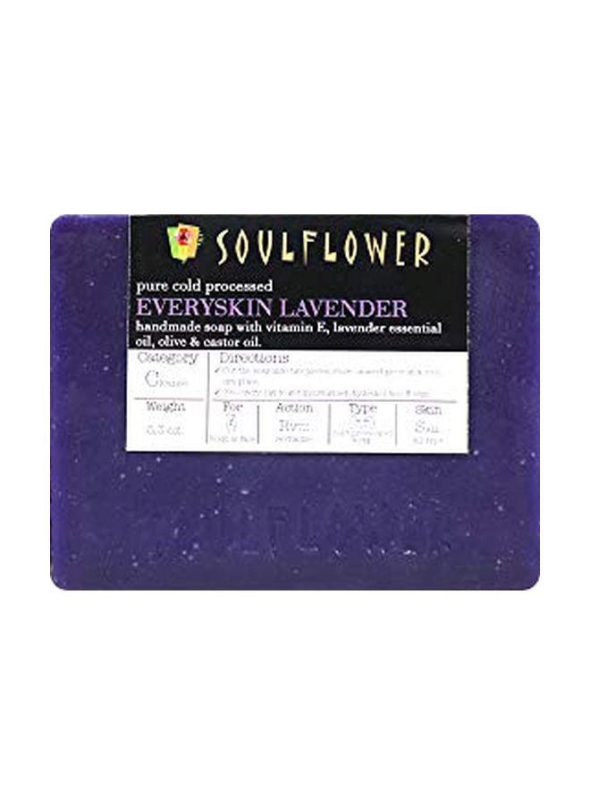 2-Piece Everyskin Lavender Soap