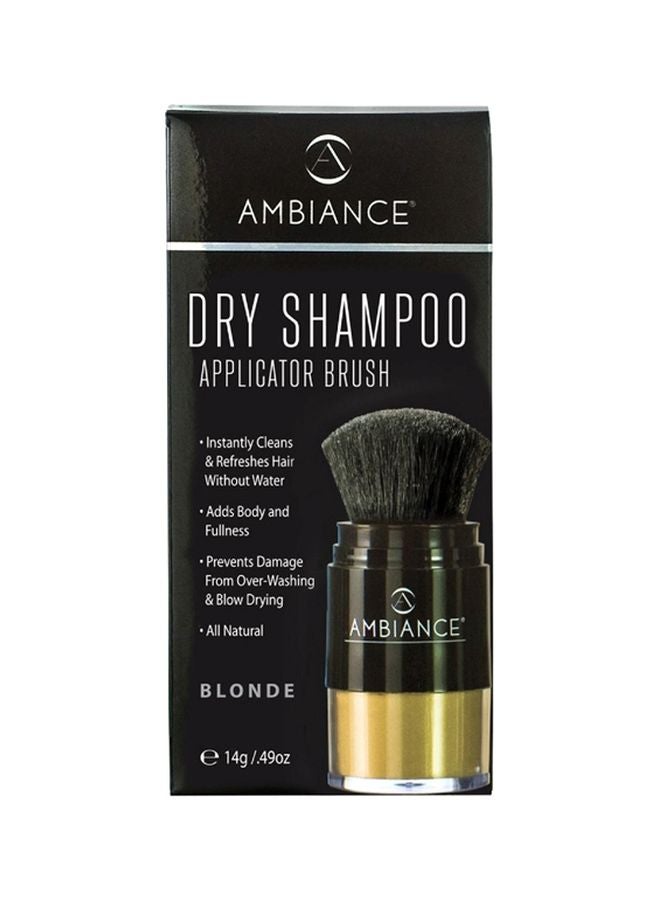 Dry Shampoo With Applicator Brush 14grams