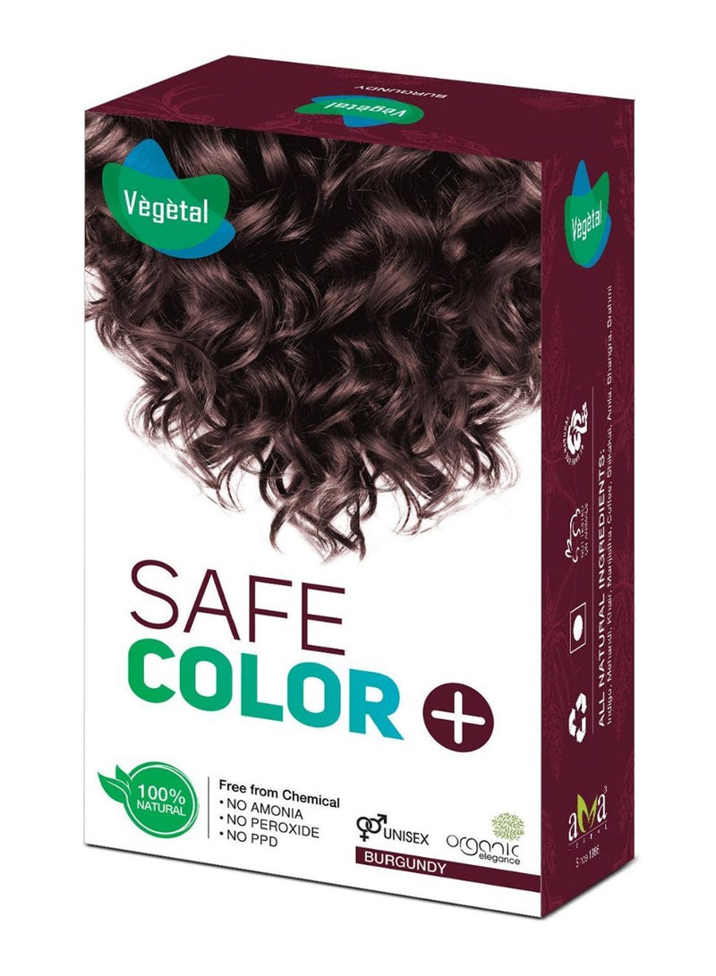2-Piece Safe Natural Hair Color Set Burgundy 2 x 100grams
