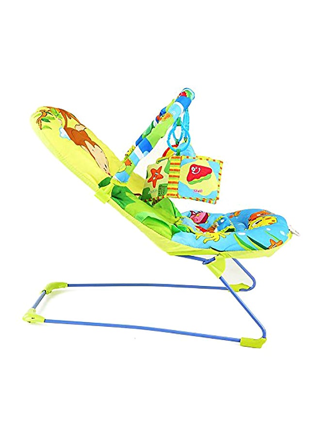Go Fishing Bouncer With Soothing Vibration