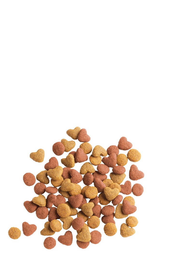 VERSELE-LAGA Lara Junior’s crispy chunks