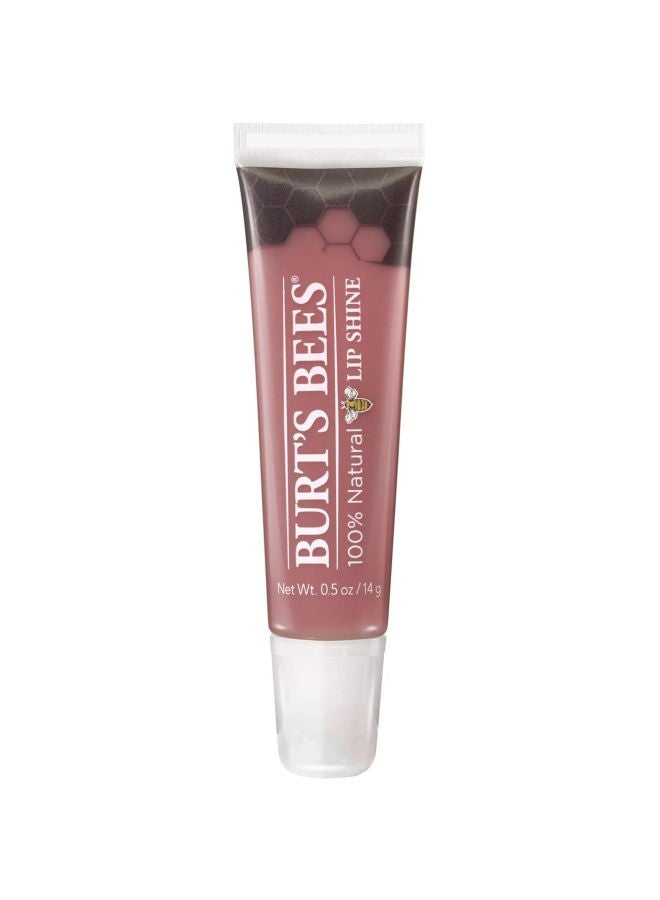 Lip Shine Blush Brown