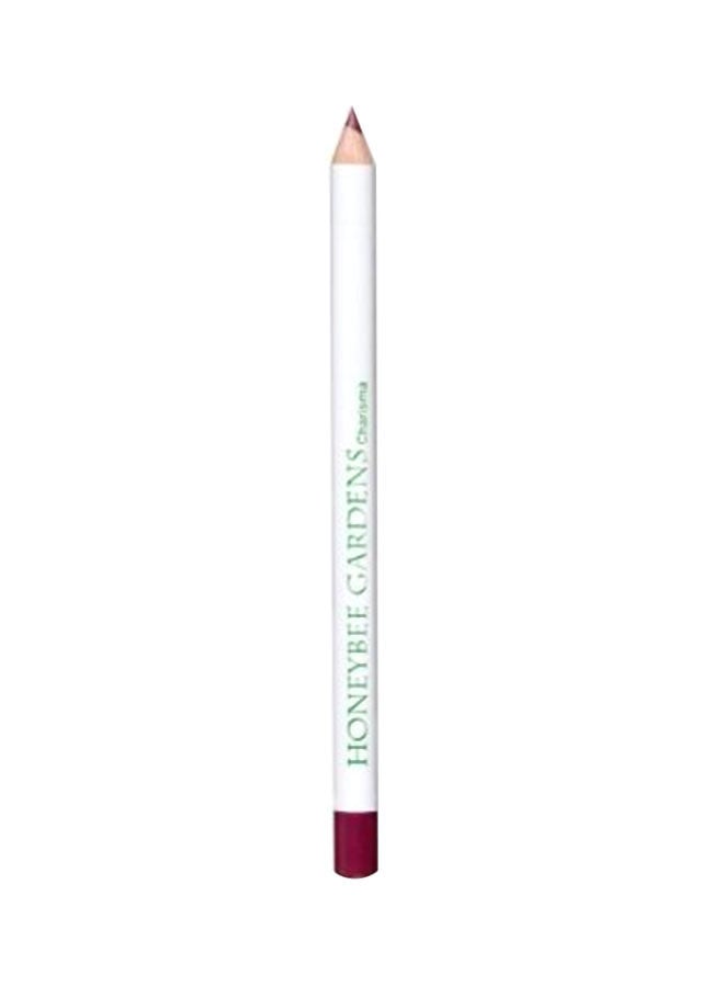 Irresistible Lip Liner Brown