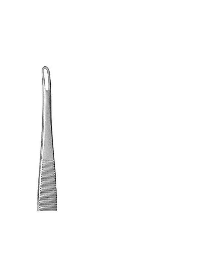 Extractor Blackhead Remover Silver