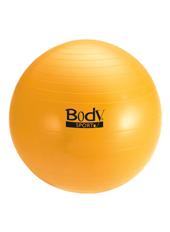 Anti-Burst Fitness Ball 0.9898X0.9898X0.9898inch
