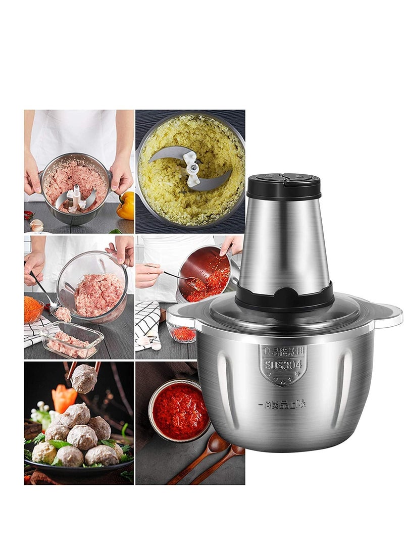 Food Chopper, Electric Meat Chopper with Powerful Motor, 2L Stainless Steel Bowl, 2 Speed Levels, Safety Function, 300W Multi Chopper for Meat, Fruits, Baby Food, Vegetables,Onion