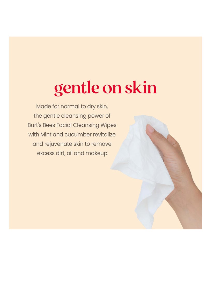 Burt's Bees Cucumber & Mint Face Wipes, Mothers Day Gifts for Mom for All Skin Types, Refreshing Makeup Remover & Facial Cleansing Towelettes, 30 Ct. (3-Pack)