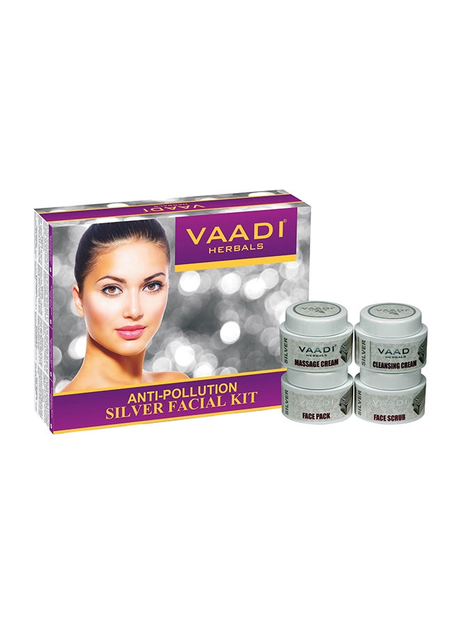 4-Piece Silver Facial Kit