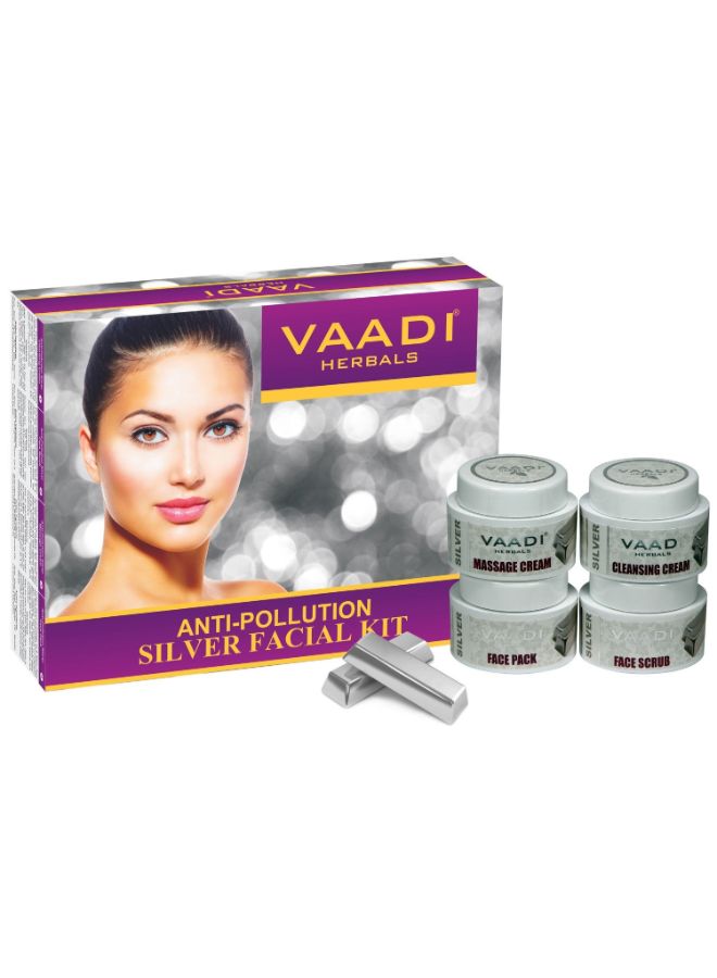 4-Piece Silver Facial Kit