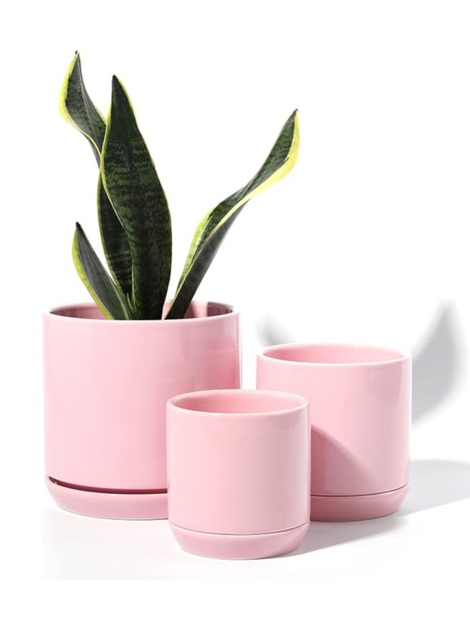 Set of 3 Pink Ceramic Flower Pot with Drainage Holes and Saucers Plants Indoor Modern Home Decor Ceramic Flower Pots Indoor Bonsai Container