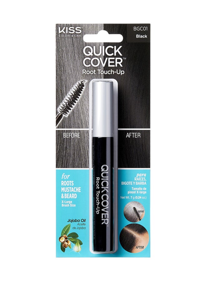 Quick Cover Brush-In Gray Hair Touch Up Black