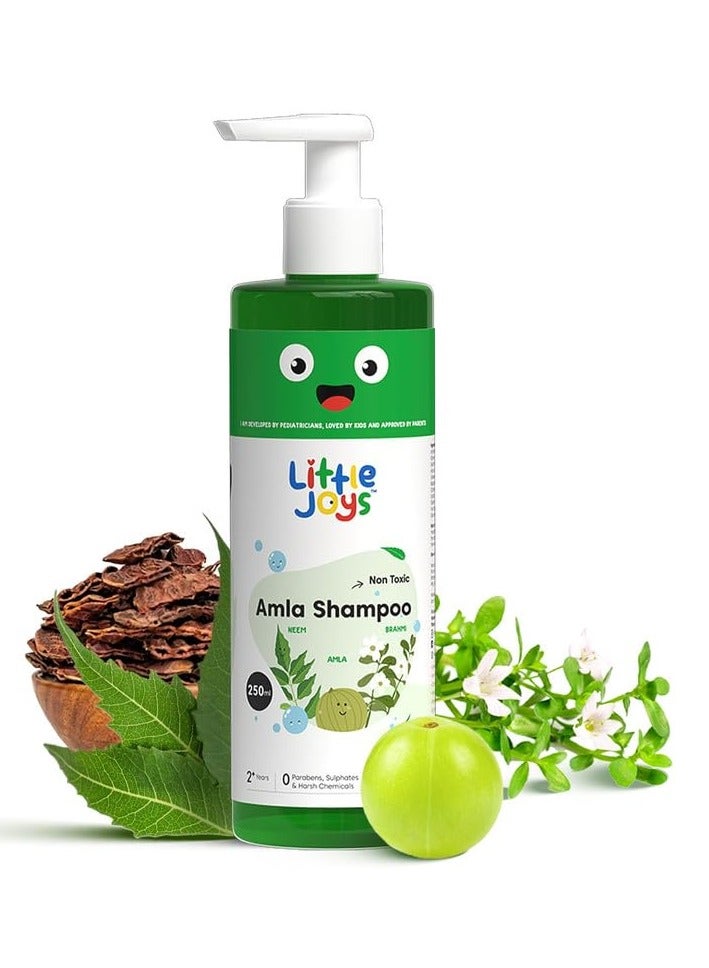 Little Joys Amla Shampoo for Kids (2+Yrs) With Amla Shikakai Brahmi and Neem Deep Cleanses and Nourishes Scalp and Hair Protects from Dandruff and Lice  250ml