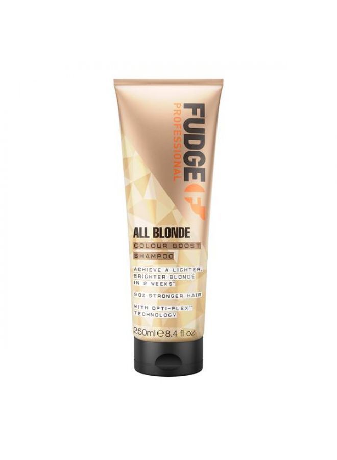 All Blonde Colour Booster Shampoo 250ml