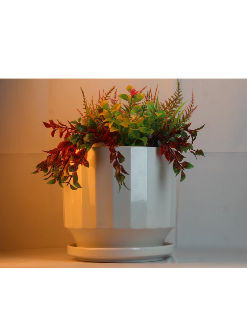 3pc White Ceramic Flower Pot Set with Drainage Holes and Saucers
