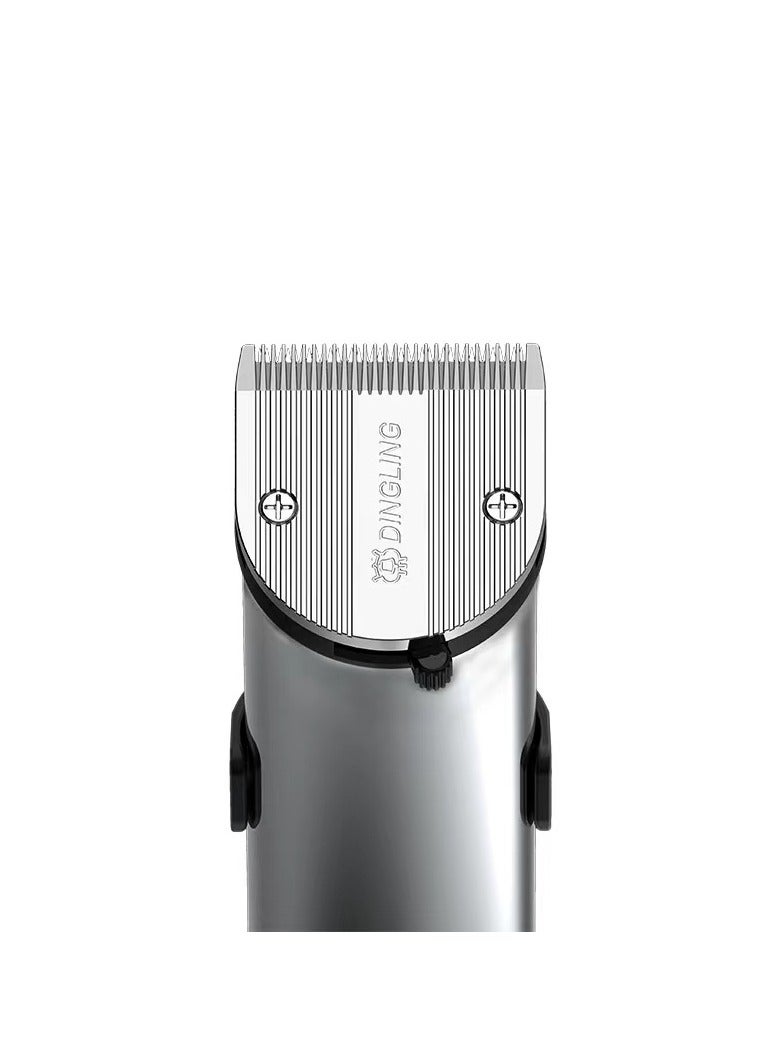 DINGLING Professional Electric Hair Clipper With Blades Silver/Black 21.21x21.01x7.39cm