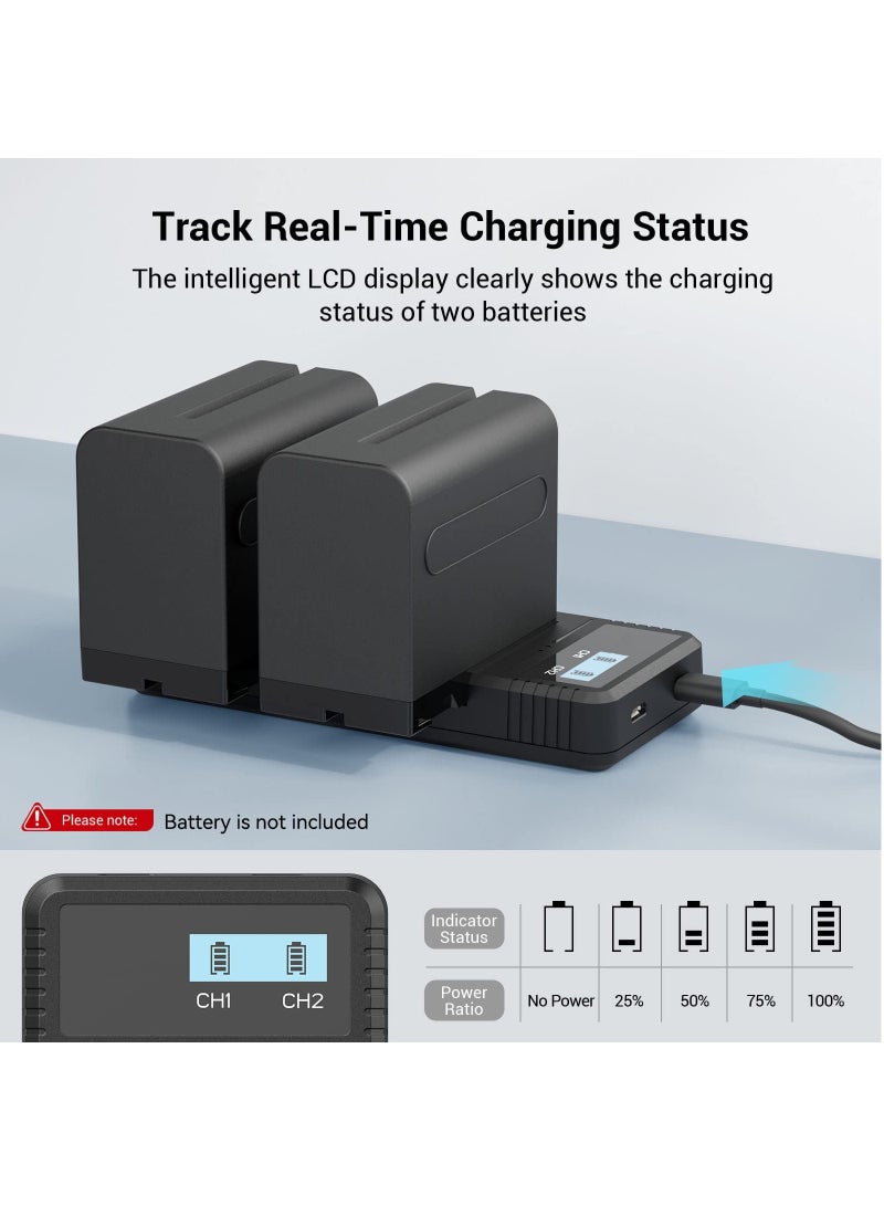 Sony NP-F9 Fast Charger Dual USB Charger with LCD Display for Sony NP-F970 NP-F930 NP-F950 NP-F960 NP-F550 NP-F530 NP-F330 NP-F570 Battery - 4086