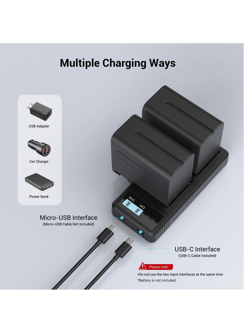 Sony NP-F9 Fast Charger Dual USB Charger with LCD Display for Sony NP-F970 NP-F930 NP-F950 NP-F960 NP-F550 NP-F530 NP-F330 NP-F570 Battery - 4086
