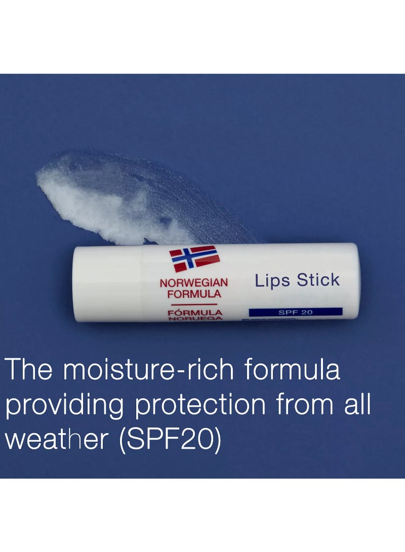 Neutrogena Norwegian Formula Lip Care 4.8G