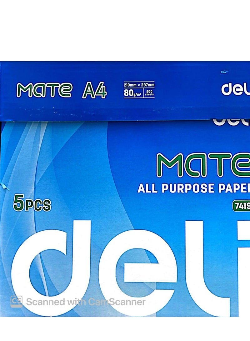 Deli Mate All Purpose Paper 80 GSM A4 Size 5 Reams Per Carton Box