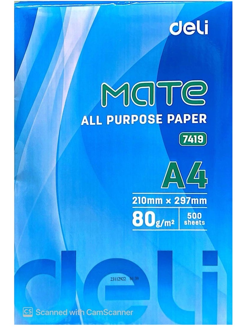 Deli Printer Copy Paper Size A4 80 GSM 500 Pages Ream (Bundle of 5 Reams