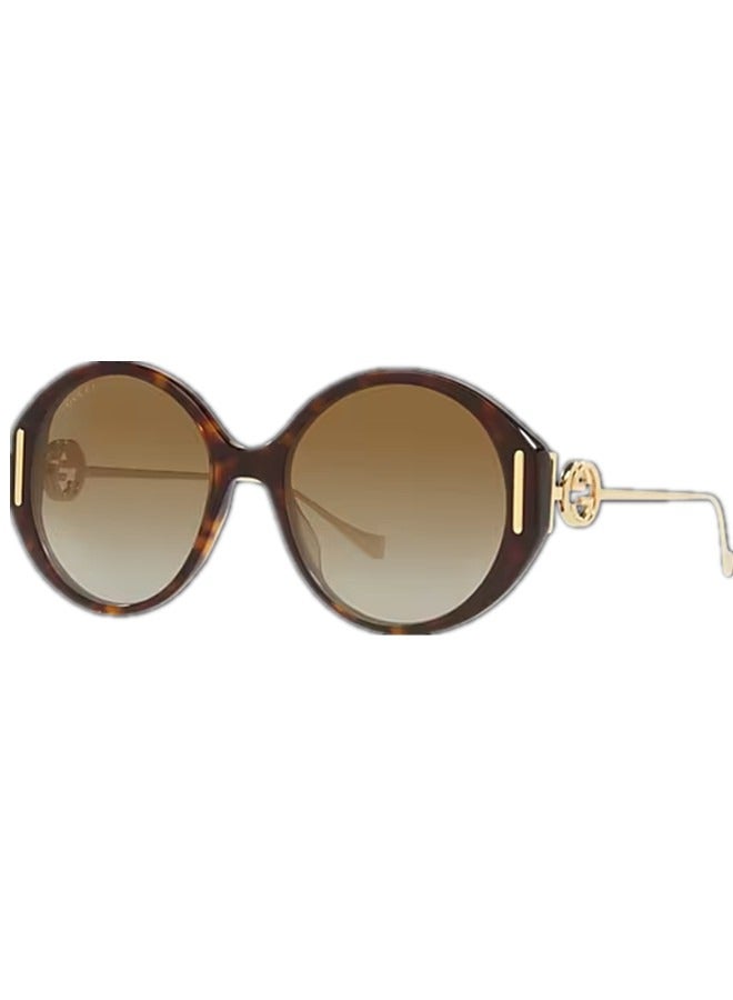 Gucci Round Dark Tortoiseshell Frame Sunglasses for Women GG1202S Style‎ 706694 J0740 2323