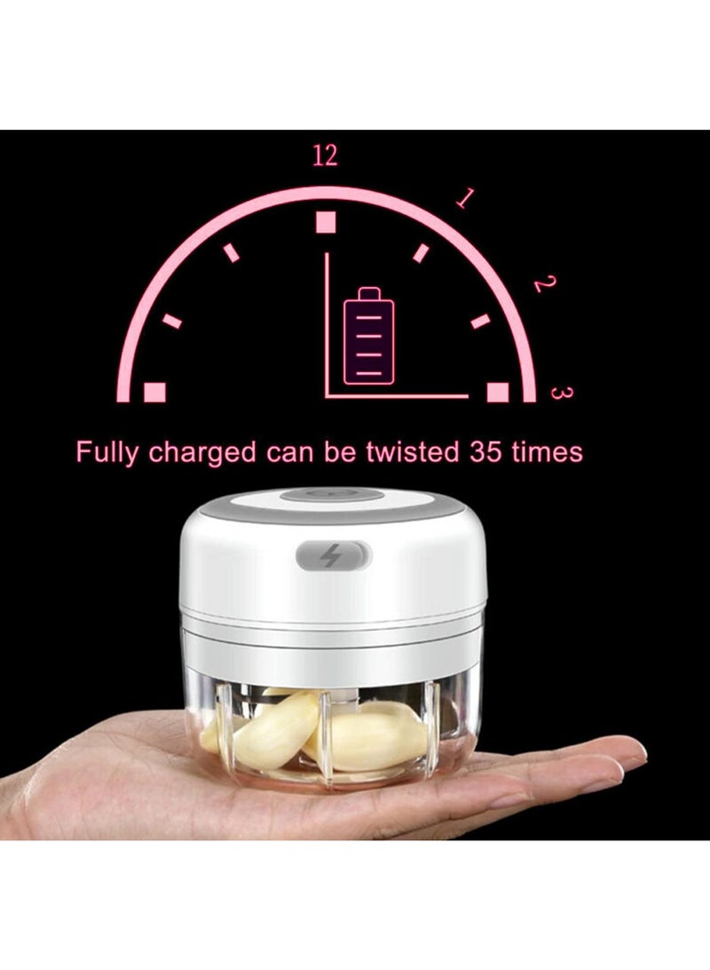 100ML Usb Portable Small Electric Food Chopper