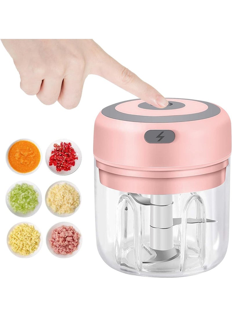 250ML Usb Portable Small Electric Food Chopper