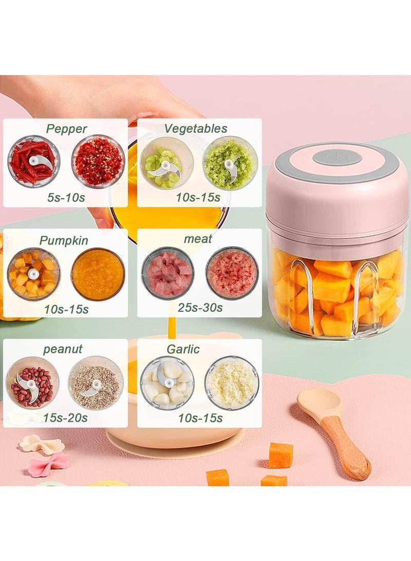 250ML Usb Portable Small Electric Food Chopper