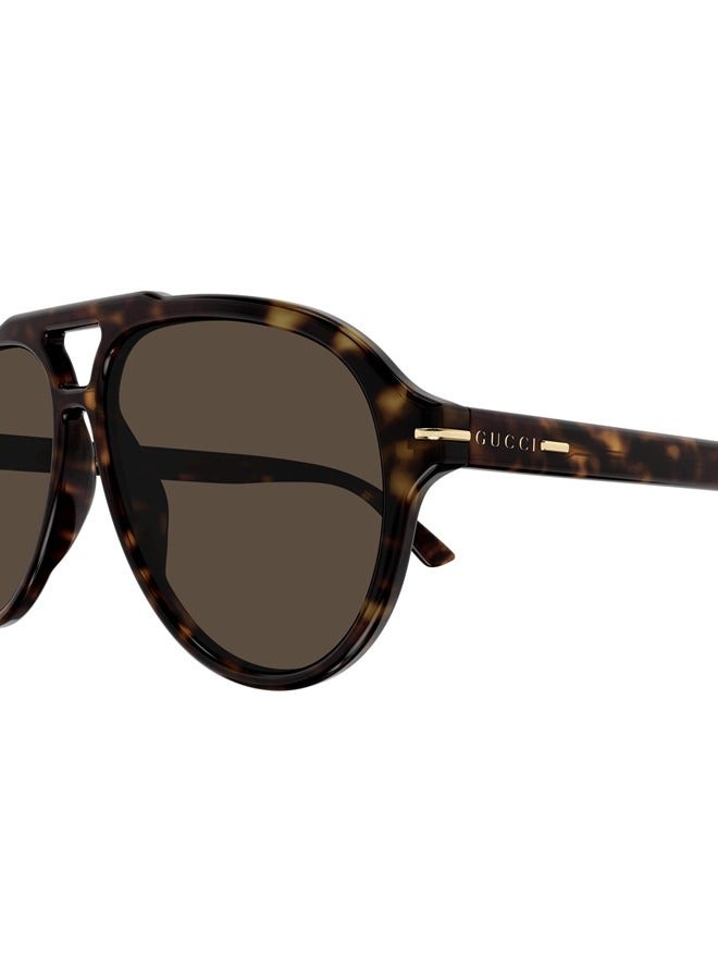 Gucci Navigator Shiny Dark Tortoiseshell Frame Sunglasses for Men GG1443S Style ‎755270 J0740 2323