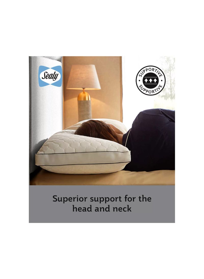 Sealy Side Sleeper Pillow