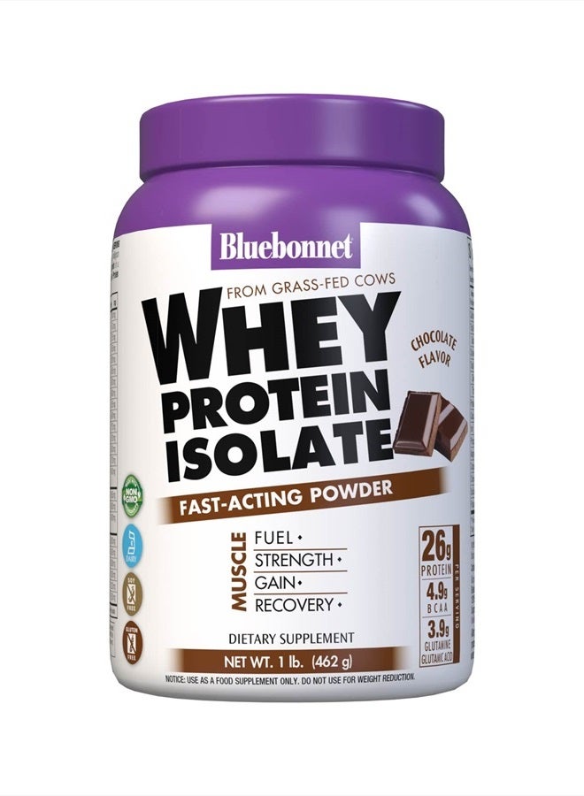 Nutrition Whey Protein Isolate Powder, Whey From Grass Fed Cows, 26g of Protein, No Sugar Added, Gluten Free, Soy free, kosher Dairy, 1 Lb, 14 Servings, Chocolate Flavor