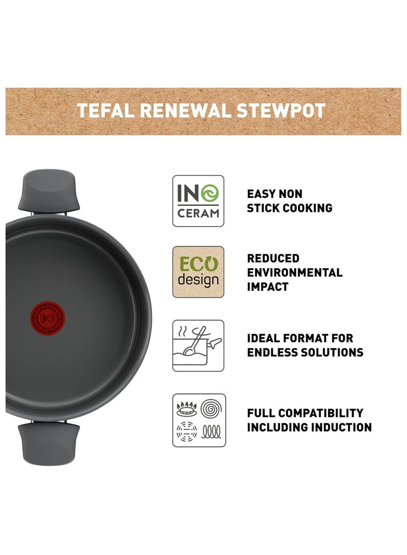 Renewal Non Stick Ceramic Coating Stewpot 2.7 L